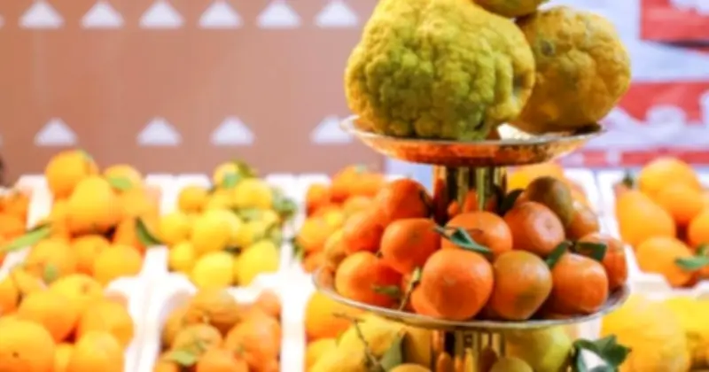 وزارة البيئة تكشف عن إنتاج 123 ألف طن ليمون و357 ألف طن برتقال وتدعو لتفضيل الحمضيات الوطنية