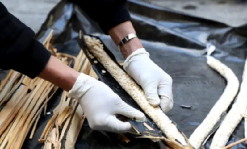 وزارة الداخلية السورية تعلن إحباط محاولة تهريب 180 ألف حبة كبتاغون إلى السعودية