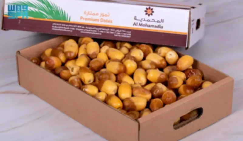 ألف طن و49 صنفاً من تمور الرياض تزين موائد رمضان في المملكة