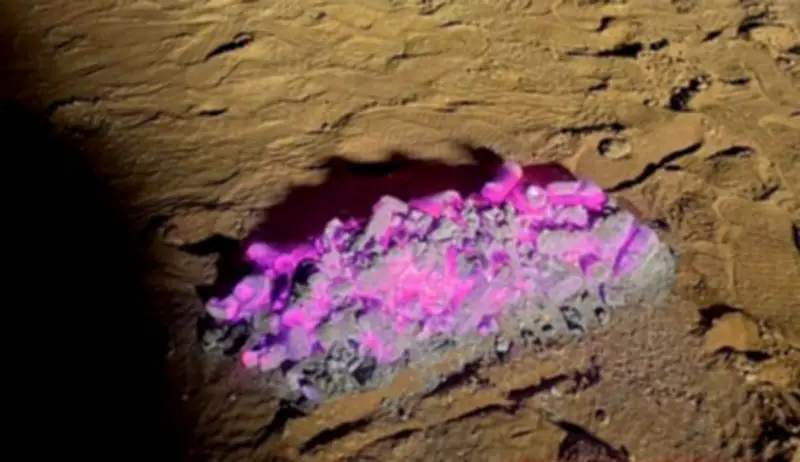 القوات الخاصة للأمن البيئي تضبط مخالفًا لإشعال النار في محمية طويق الطبيعية