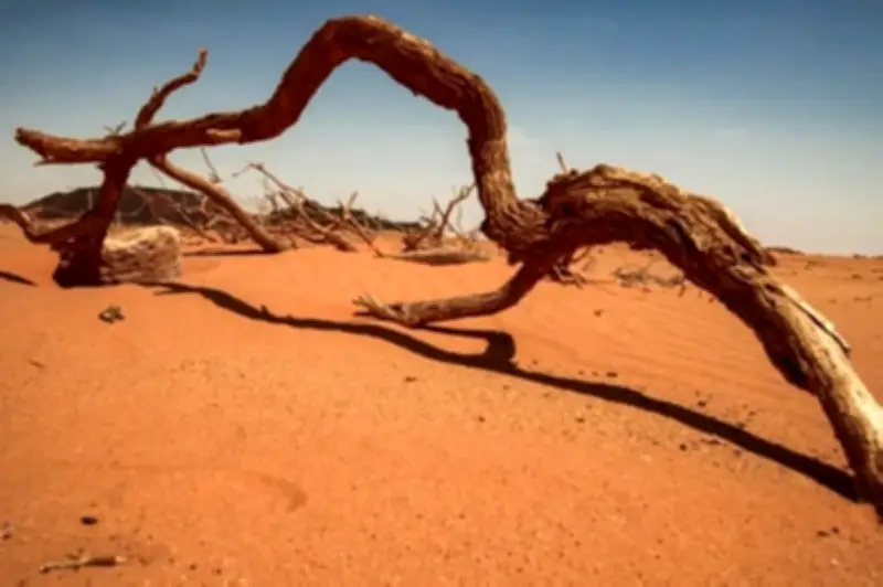 من صحراء مهملة إلى كنز إستراتيجي: كيف تعيد بيوضة تعريف مستقبل السودان الاقتصادي