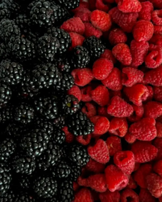 التوت البري: سرّ الإشراقة الطبيعية ومكافحة الشيخوخة في عالم العناية بالبشرة