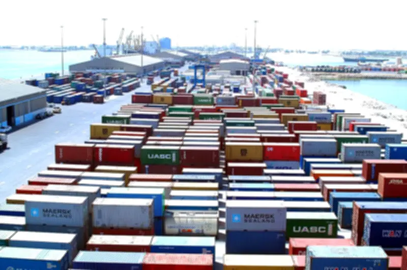 الصين تعلن إلغاء الرسوم الجمركية على واردات جميع الدول الأفريقية اعتباراً من مايو