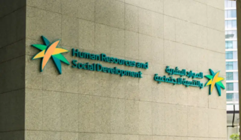 قرار جديد يلزم منشآت القطاع الخاص بتدريب الخريجين والباحثين عن عمل