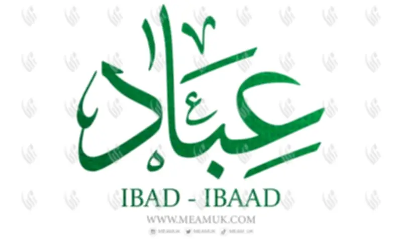 ألف العزة في كلمة عباد بالقرآن تكشف لطيفة بيانية عن شرف العبودية لله ورفعة المؤمنين