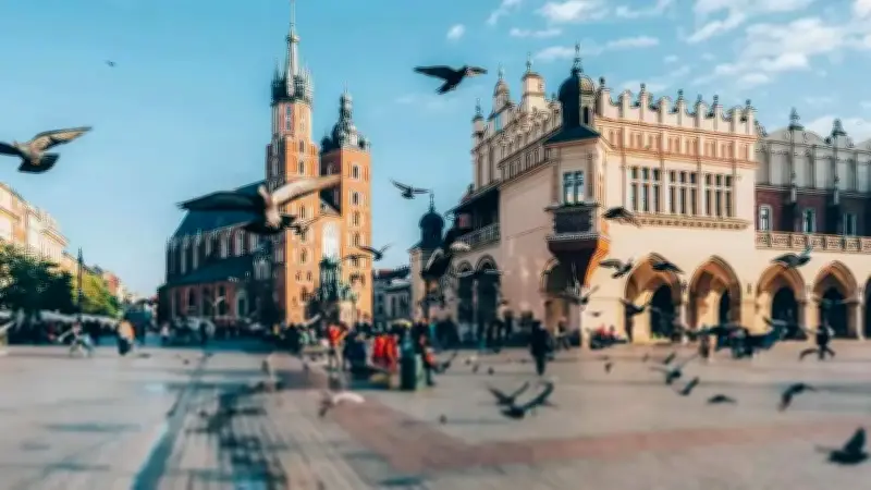 كراكوف البولندية تتبنى استراتيجية إنسانية للحد من تكاثر الحمام دون إطلاق رصاصة واحدة