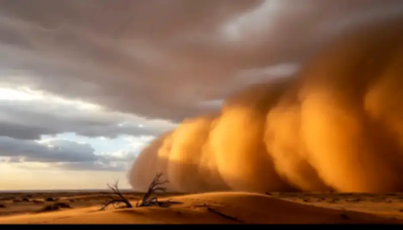 الفرق البلاغي بين الريح والرياح في القرآن الكريم: دراسة لغوية عميقة