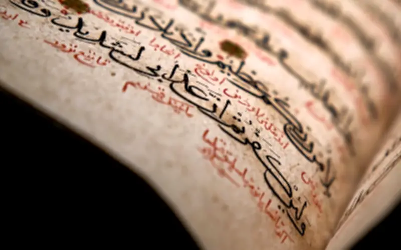 لطائف قرآنية لا تقربوا الإعجاز في نظام الوقاية القرآنية