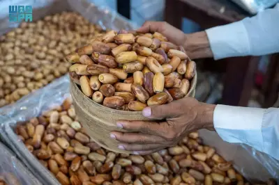 500 ألف نخلة تنتج 40 ألف طن تمور وتنعش سوق نجران الرمضاني