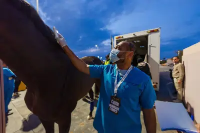 الوطنية للخدمات الزراعية تصدر شهادات عودة لـ84 خيلاً بعد كأس السعودية