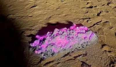 القوات الخاصة للأمن البيئي تضبط مخالفًا لإشعال النار في محمية طويق الطبيعية