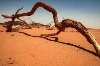 من صحراء مهملة إلى كنز إستراتيجي: كيف تعيد بيوضة تعريف مستقبل السودان الاقتصادي
