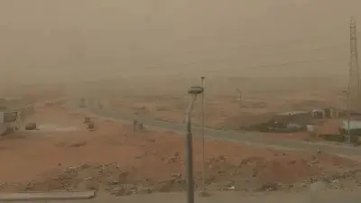 رياح الخماسين تضرب محافظات مصر والصحة تعلن الاستنفار وتحذر من مضاعفات تنفسية خطيرة