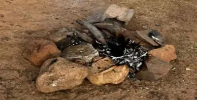 الأمن البيئي يضبط مخالفاً في محمية الإمام فيصل بن تركي الملكية بسبب إشعال النار