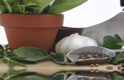 دراسة يابانية تكشف: النعناع والأوكالبتوس والفلفل الحار يحاربون الالتهابات بتأثير مضاعف