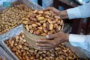 500 ألف نخلة تنتج 40 ألف طن تمور وتنعش سوق نجران الرمضاني