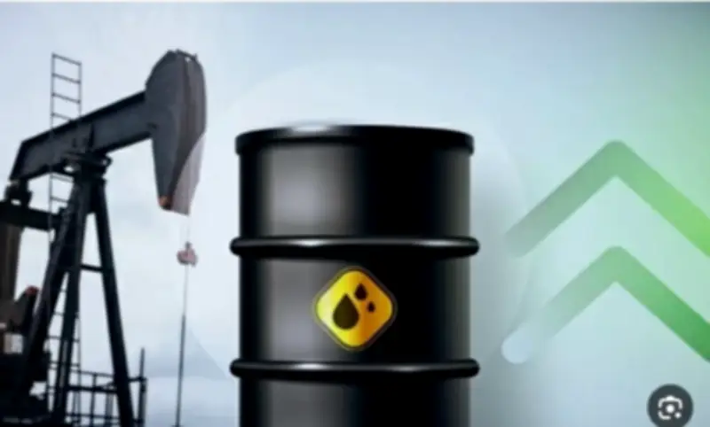 الفلبين تشتري 2.5 مليون برميل نفط روسي وتفقد 4 ملايين برميل في أزمة الطاقة