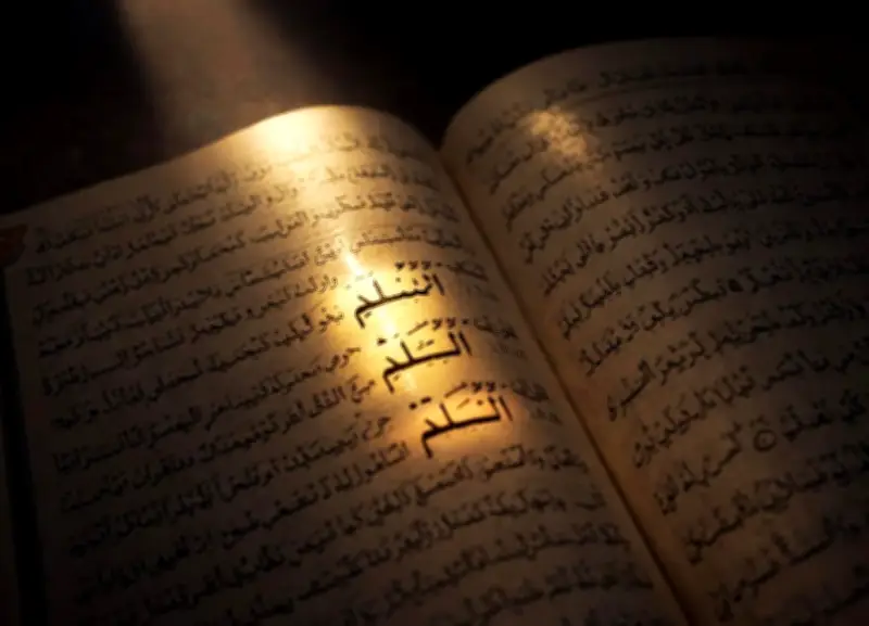 دراسة جديدة تكشف عن 3000 كلمة متشابهة في القرآن تؤكد دقة الإعجاز اللغوي