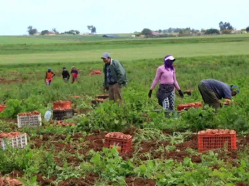 مأساة جديدة في المغرب: مصرع 5 وإصابة 9 في انقلاب سيارة نقل عمال زراعيين