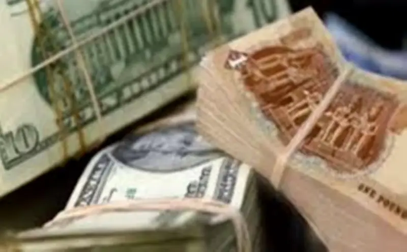 ارتفاع تاريخي للدولار في مصر يتجاوز 50 جنيهاً وسط توترات إقليمية