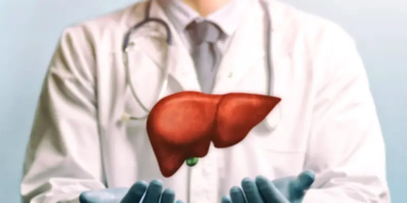 من الكبد إلى جدار الدماغ: إنزيم جديد يفتح آفاقاً واعدة في مكافحة الزهايمر