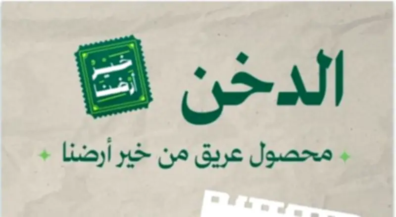 وزارة البيئة تبرز أهمية الدخن الوطني كمحصول زراعي استراتيجي لدعم الأمن الغذائي