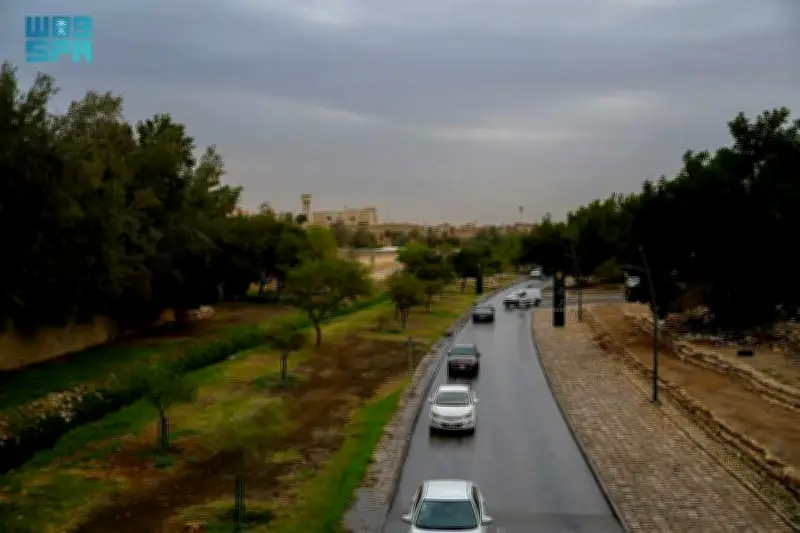 الأرصاد تتوقع أمطارًا رعدية على عدة مناطق وتنبه من رياح مثيرة للأتربة