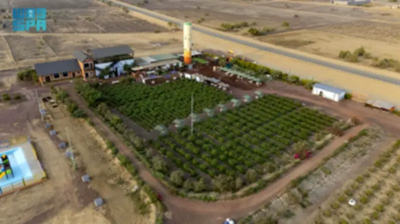 مزارع جازان الريفية تتحول إلى وجهة إفطار رمضانية وسط الحقول الخضراء