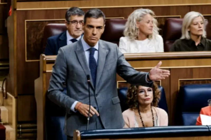 إسبانيا ترفض تهديدات ترامب بقطع التجارة وتؤكد التزامها بالقانون الدولي