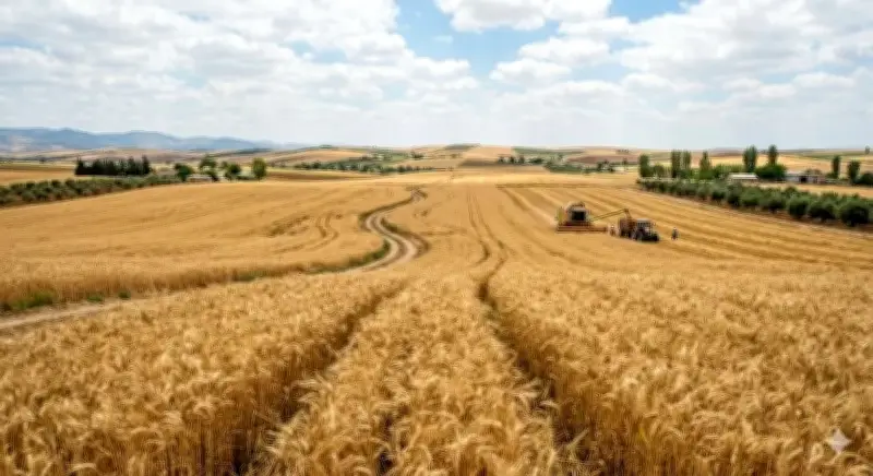 ارتفاع أسعار القمح الأوروبي وسط مخاوف الصراع وتقلبات اليورو