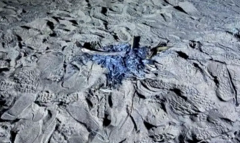 القوات الخاصة للأمن البيئي تضبط مواطنًا في المدينة المنورة لإشعال النار في غير الأماكن المخصصة