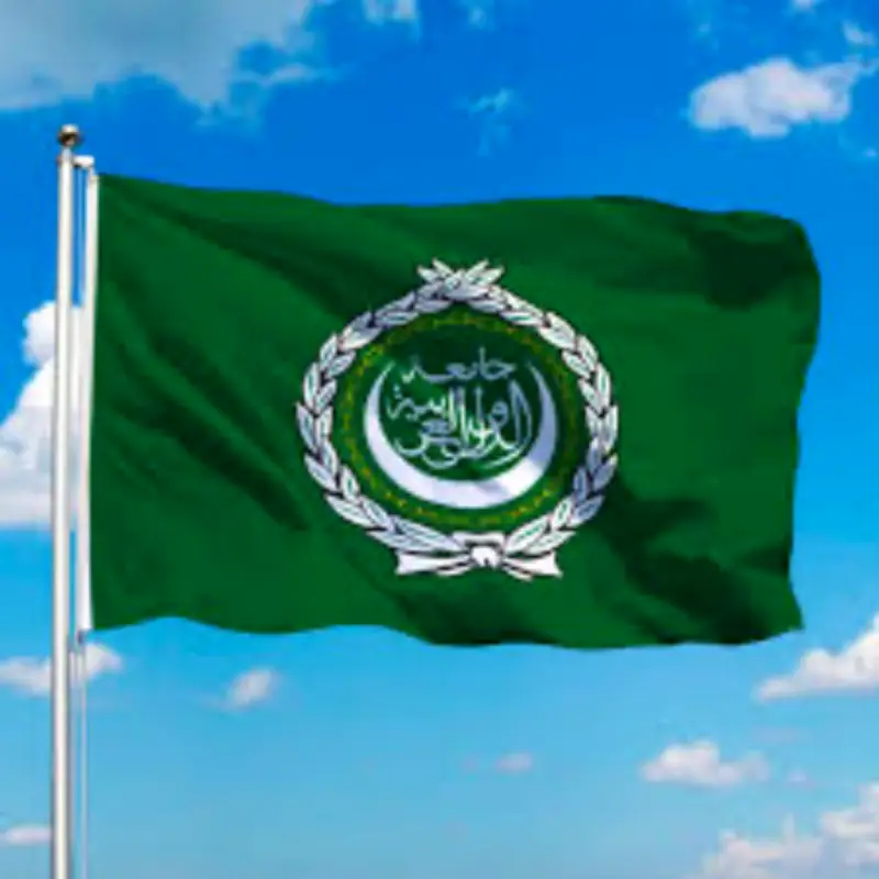 اجتماع طارئ لوزراء الخارجية العرب عبر الفيديو لبحث الاعتداءات الإيرانية على الدول العربية