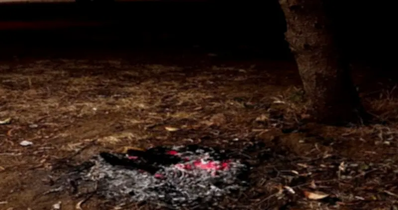 الأمن البيئي يضبط مواطنًا مخالفًا في عسير لإشعال النار في غير الأماكن المخصصة