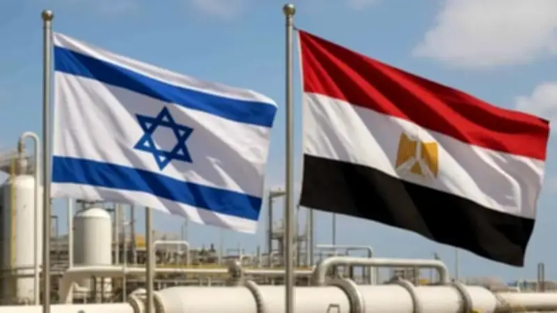 وزير الاقتصاد السعودي يؤكد: استمرار النمو الاقتصادي رغم التحديات العالمية