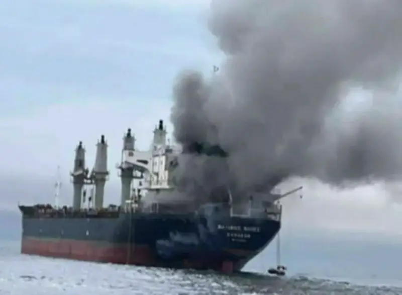 هجوم على سفينة شحن تايلاندية قرب مضيق هرمز وإشعال النيران فيها