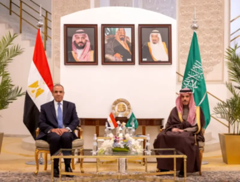 فيصل بن فرحان وبدر العبدالعاطي يبحثان خفض التصعيد وإدانة الاعتداءات الإيرانية بالمنطقة