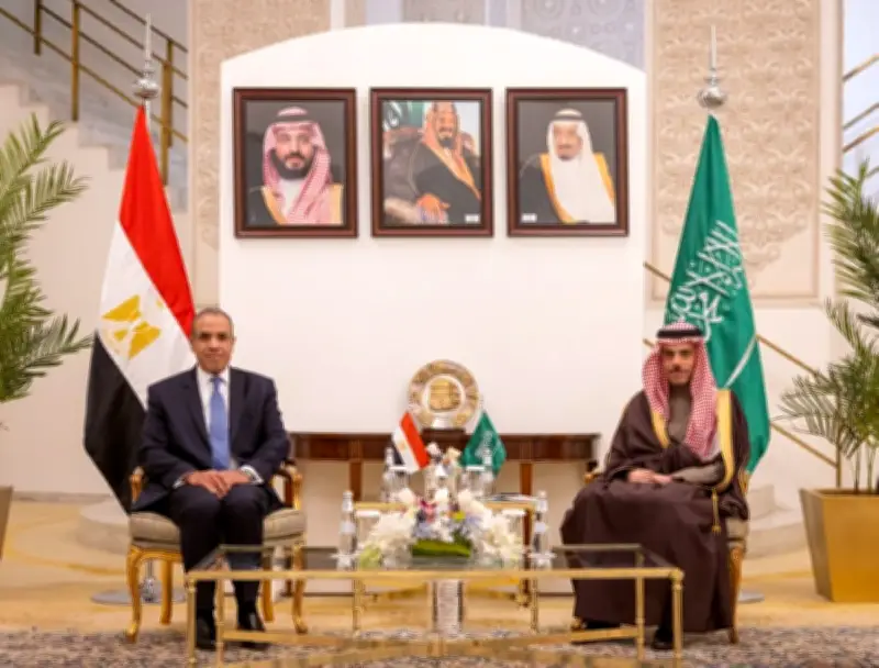 وزيرا خارجية السعودية ومصر يناقشان جهود خفض التصعيد ويدينان الهجمات الإيرانية