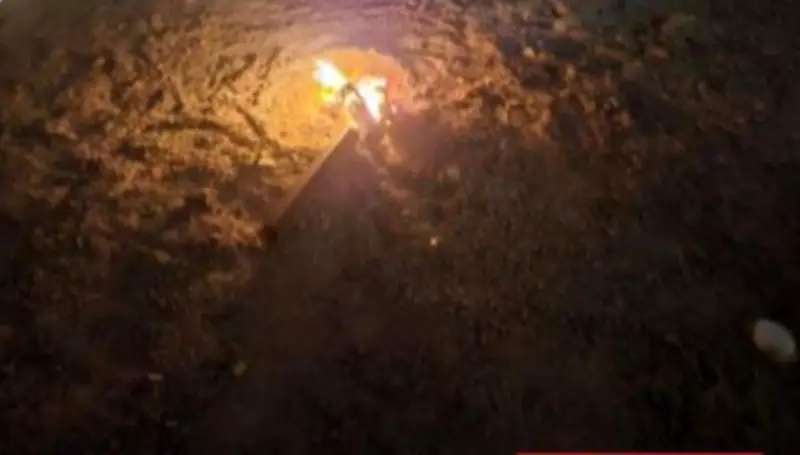 القوات الخاصة للأمن البيئي تضبط مخالفًا في المدينة المنورة لإشعال النار في مناطق غير مخصصة