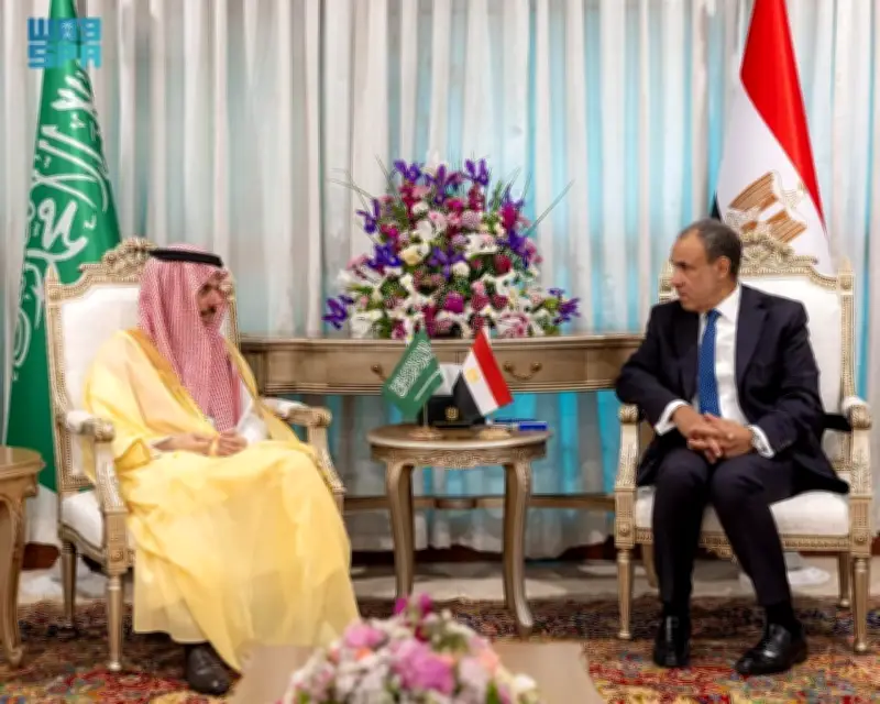 الأمير فيصل بن فرحان يبحث مع وزير الخارجية المصري تعزيز التعاون الثنائي واستقرار المنطقة