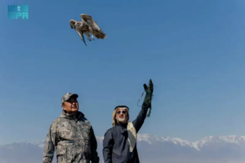 نادي الصقور السعودي يطلق الصقر الحر في كازاخستان ضمن المسار الدولي لبرنامج هدد