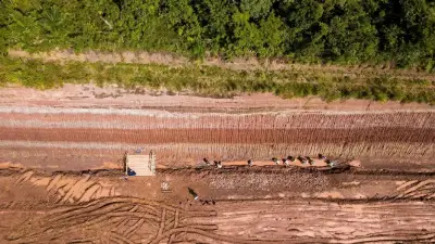 اكتشاف ديناصور عملاق في البرازيل يربط القارات قبل 120 مليون سنة