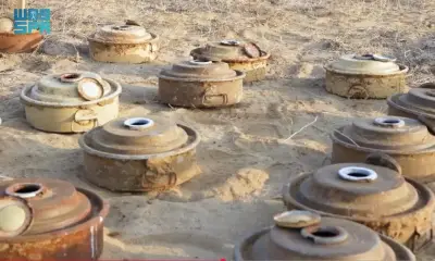 مشروع مسام ينزع 1263 لغماً من الأراضي اليمنية خلال أسبوع واحد فقط