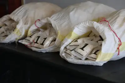 سوريا تحبط تهريب 450 ألف حبة كبتاغون على الحدود مع لبنان في حماة