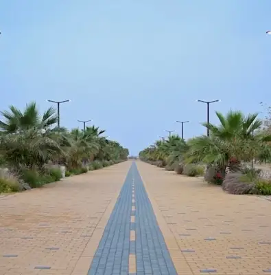 ألف شجرة و46 نوعاً نباتياً تزيّن منتزه سحاب بالأفلاج بمناسبة عيد الفطر