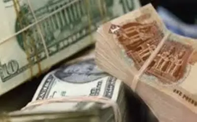 ارتفاع تاريخي للدولار في مصر يتجاوز 50 جنيهاً وسط توترات إقليمية