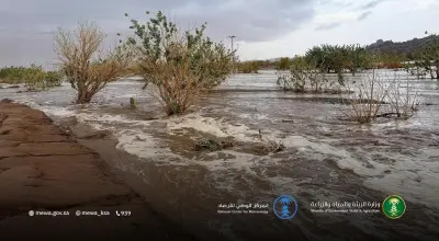 وزارة البيئة ترصد هطول أمطار غزيرة في 6 مناطق عبر 24 محطة رصد جوي