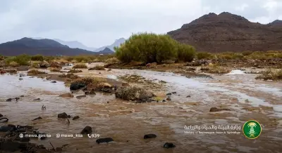 البيئة ترصد أمطاراً غزيرة على 9 مناطق.. وتبوك تسجل 40.2 ملم خلال 24 ساعة