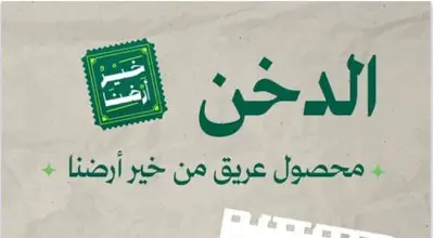 وزارة البيئة تبرز أهمية الدخن الوطني كمحصول زراعي استراتيجي لدعم الأمن الغذائي