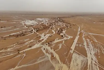 أمطار متفرقة تُحيي الأودية والشعاب في القويعية بمشهد ربيعي ساحر