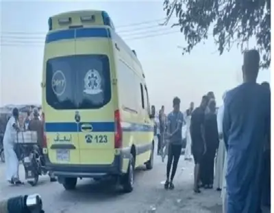 خلاف على الميراث يتحول إلى جريمة قتل بين شقيقين في قرية مصرية